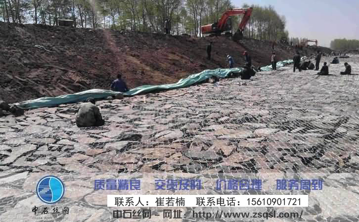 中石生態(tài)格網護墊