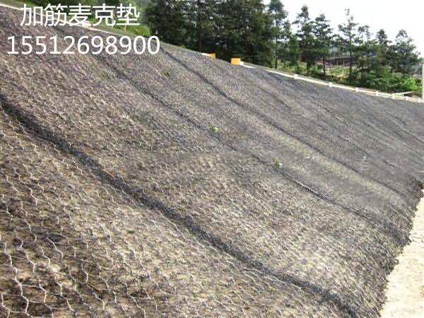 timg7855456_副本.jpg