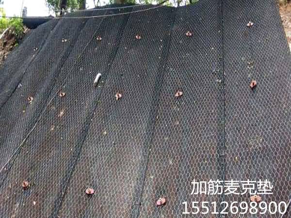 timg796565_副本.jpg
