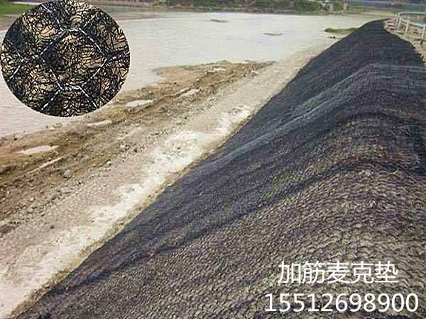 timg5666163_副本.jpg
